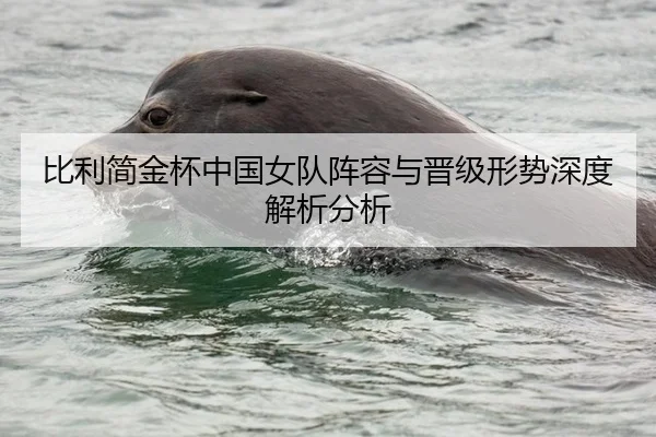 比利简金杯中国女队阵容与晋级形势深度解析分析