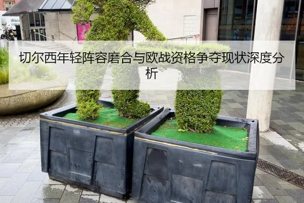 qie-er-xi-nian-qing-zhen-rong-mo-he-yu-ou-zhan-zi-ge-zheng-duo-xian-zhuang-shen-du-fen-xi-2-498.jpg