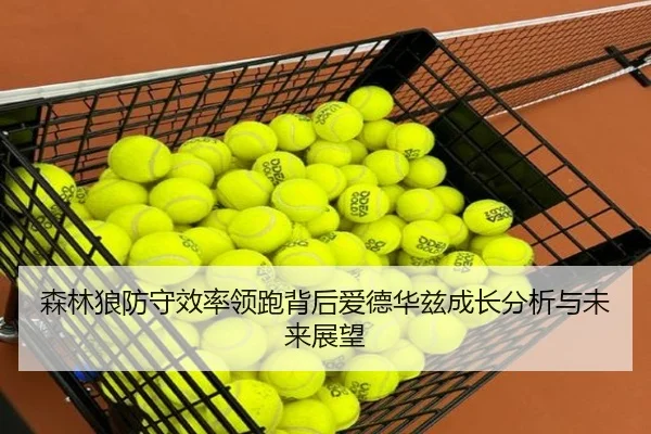森林狼防守效率领跑背后爱德华兹成长分析与未来展望